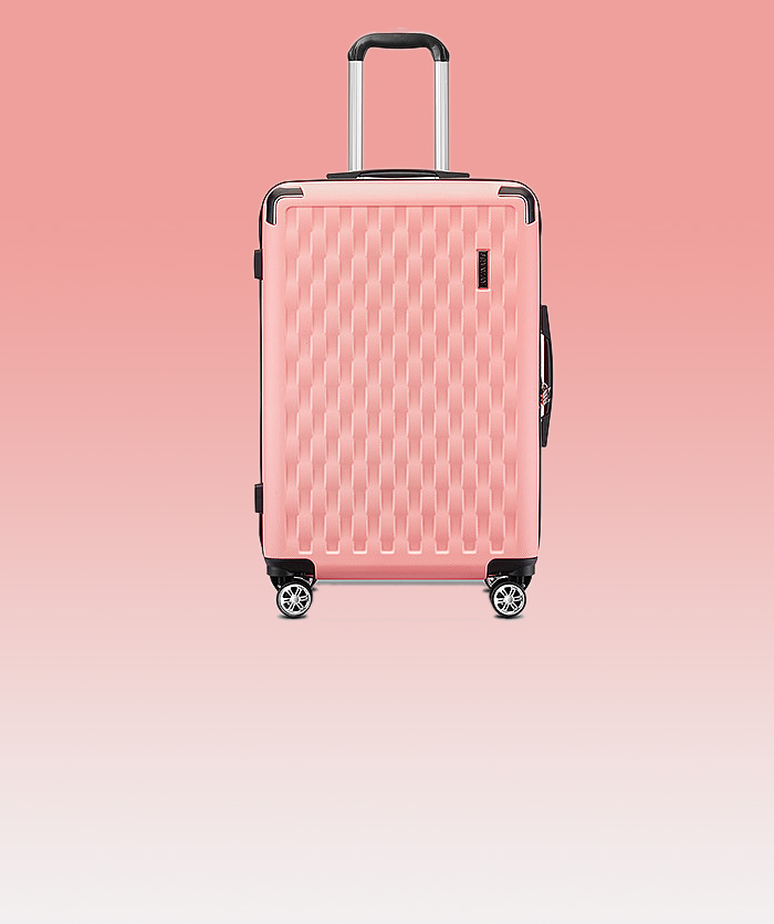 ABS luggage